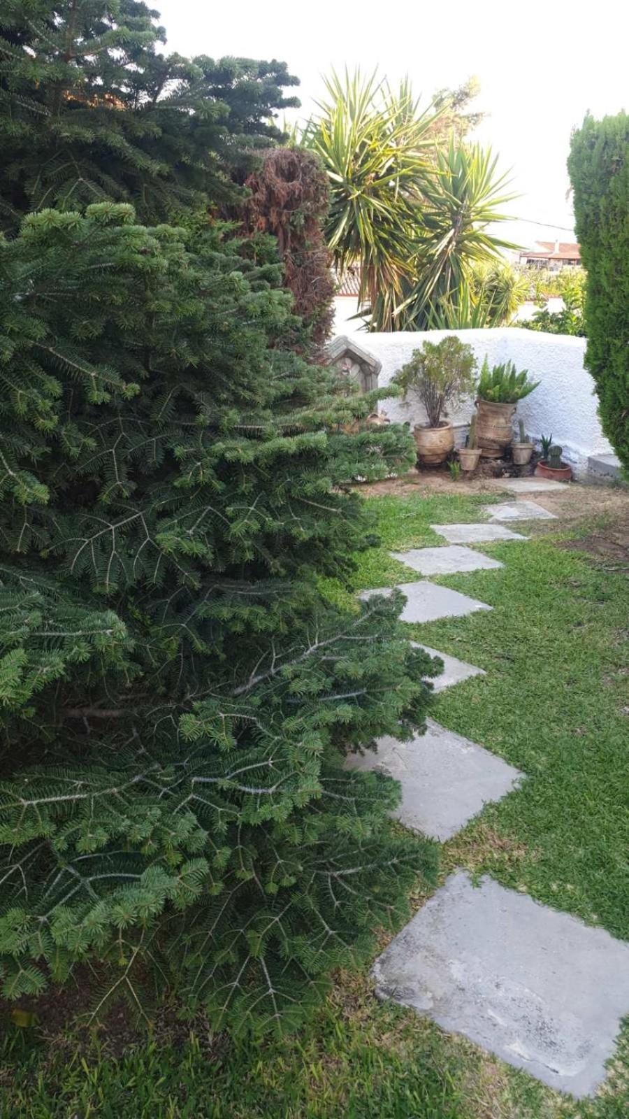 Villa Garden House Amarynthos Exterior foto
